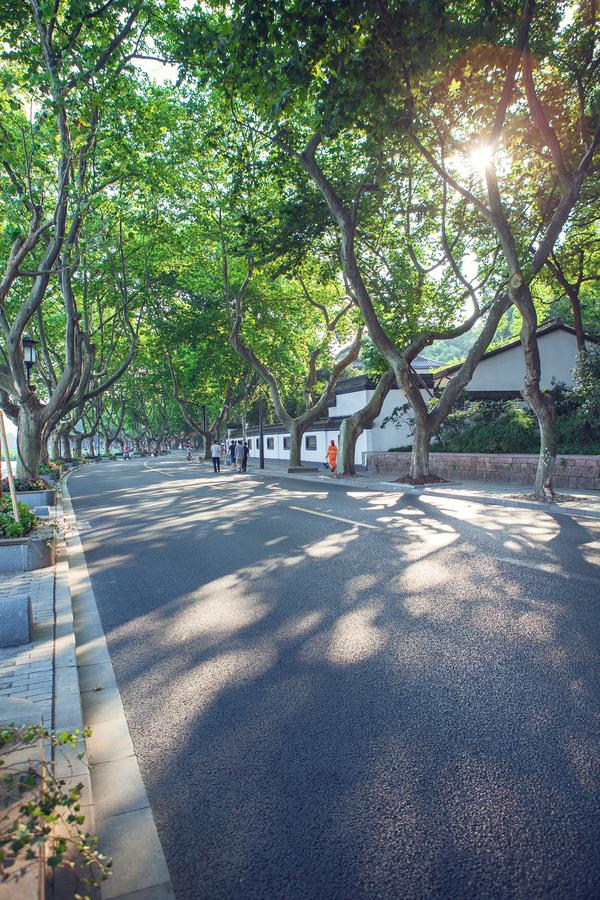 杭州100个文艺地儿 |北山路