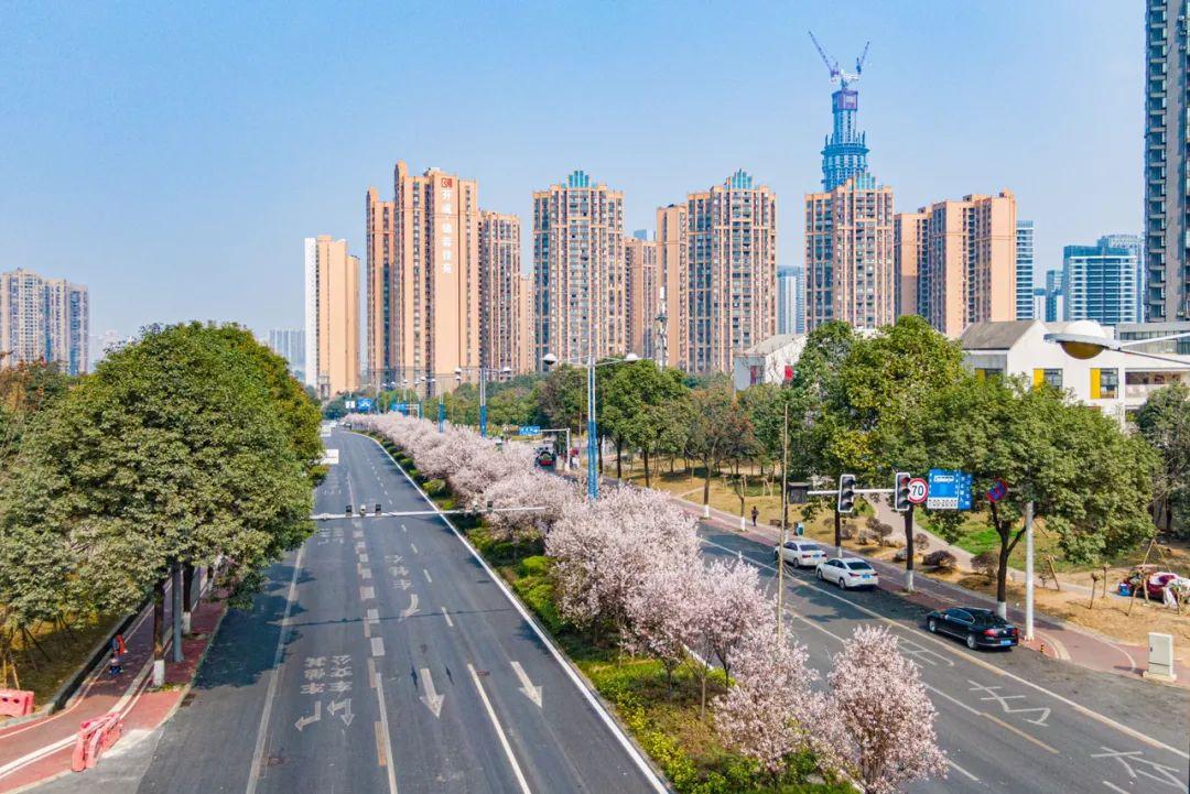 锦江区城市绿脉串联生态空间公园城市改变市民生活