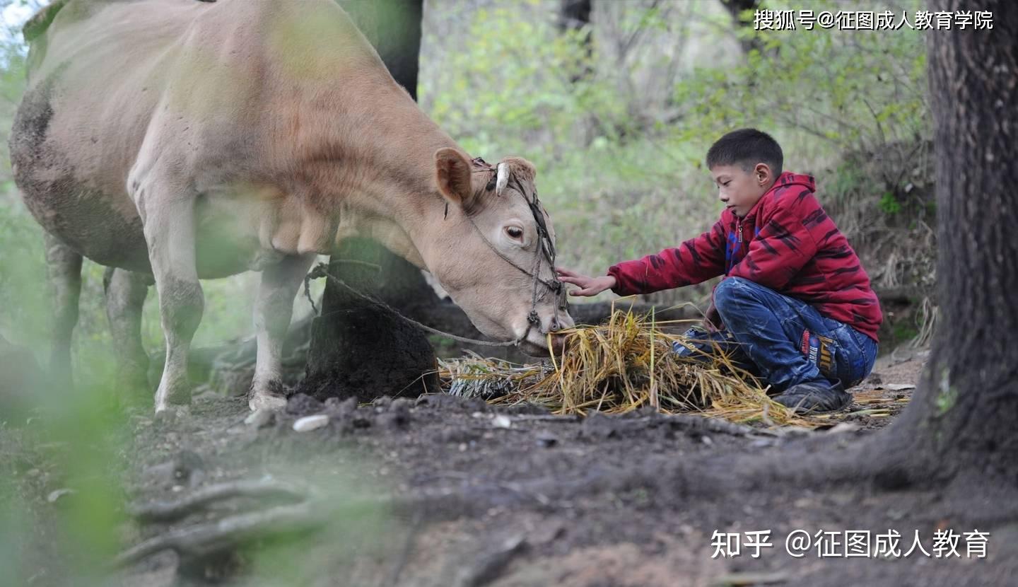 和許許多多農村家庭一樣,陳天寶家裡兄弟姐妹特別多,上有兩個姐,下有