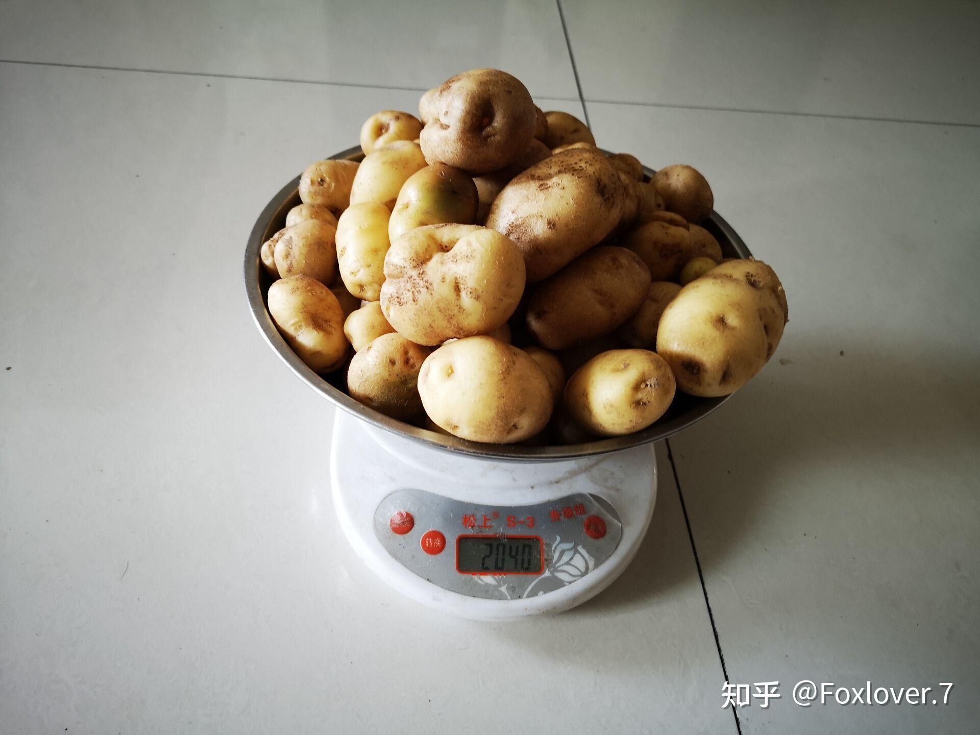 保障粮食安全 中国土豆“主食化”之路仍有四大难关待过(含视频)_手机新浪网
