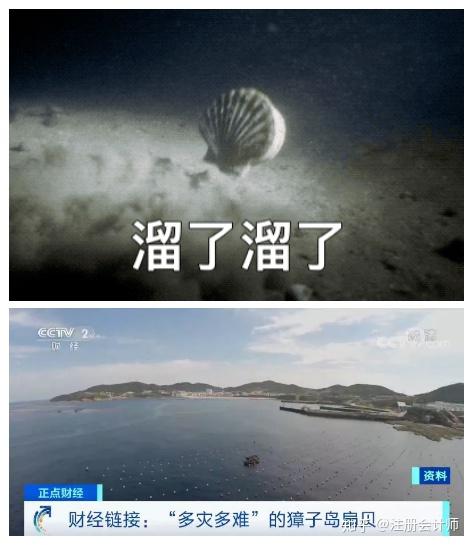 獐子岛事件今天终于盖棺定论了