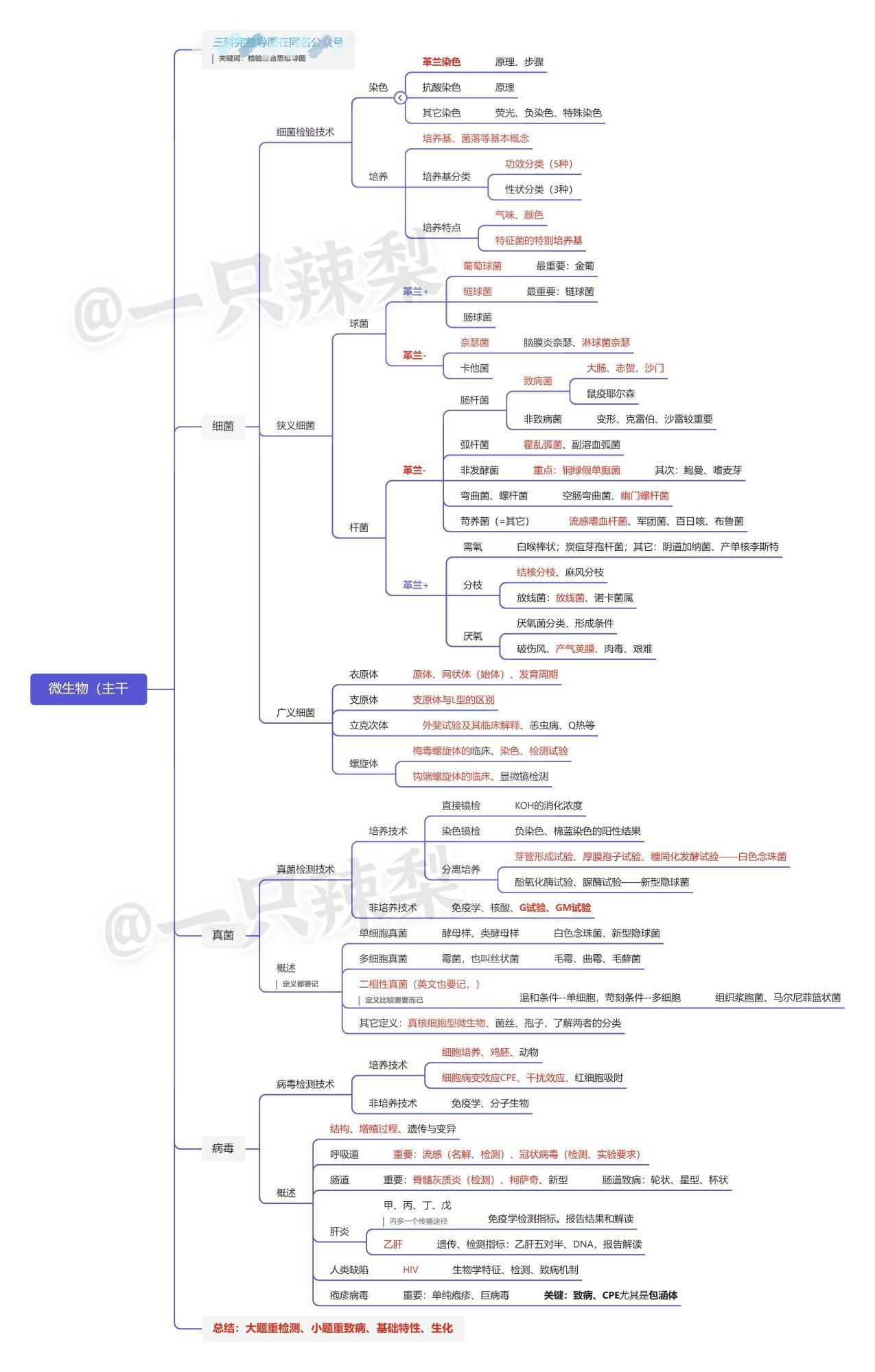 中南大学759检验综合备考经验——微生物检验篇(其它学校也可借鉴)