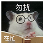 给大家推荐一个免费使用chatgpt的网站,无须梯子,超级方便的哟!!插图1 给大家推荐一个免费使用chatgpt的网站,无须梯子,超级方便的哟!!插图1