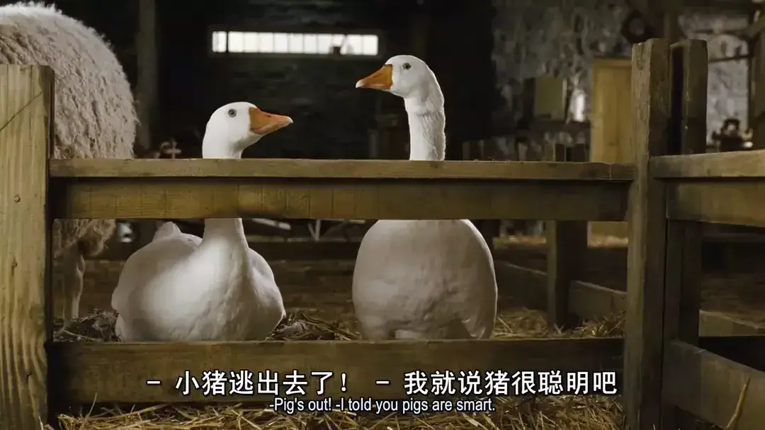 高评分电影推荐