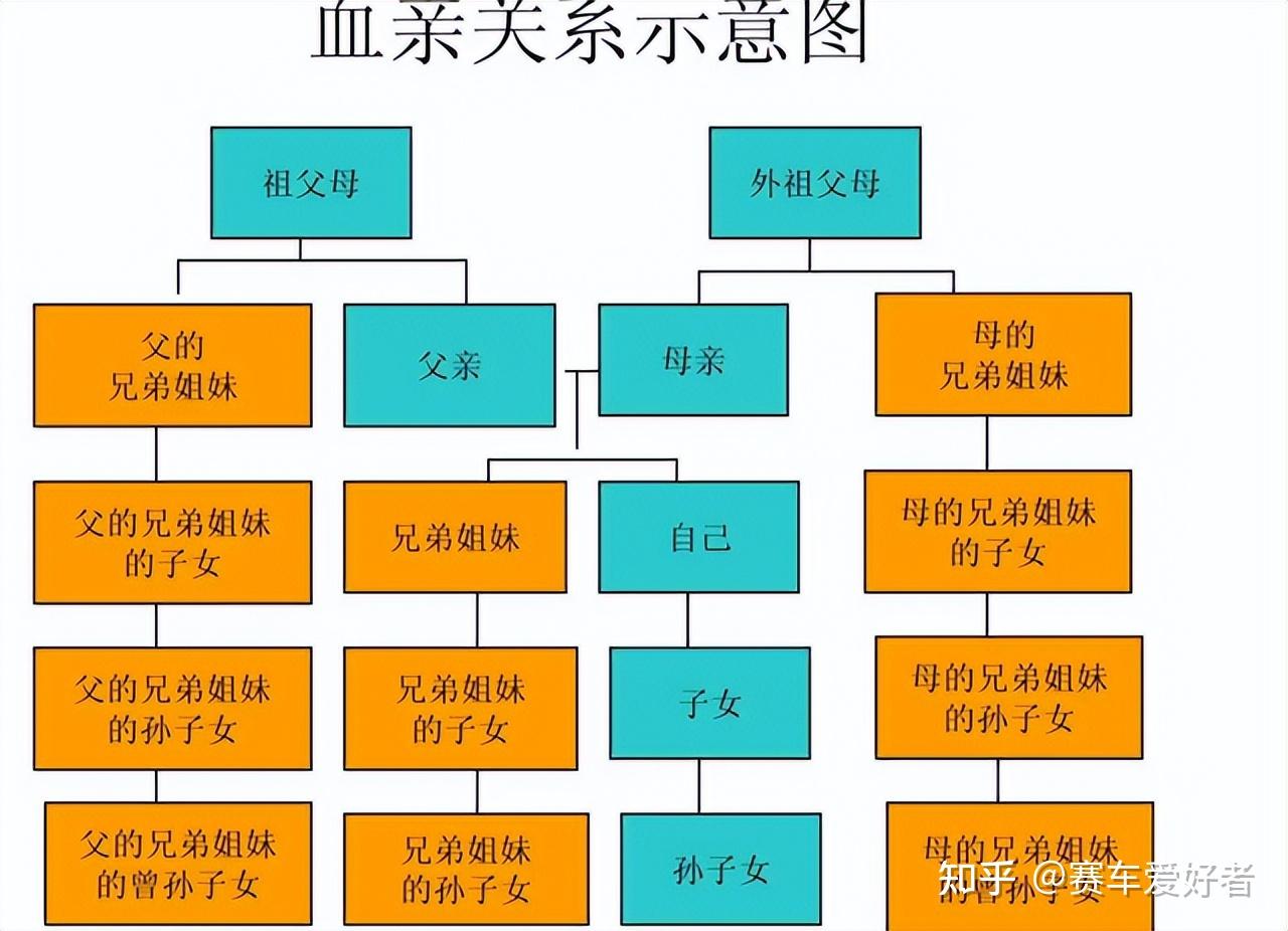 旁系五代图解图片