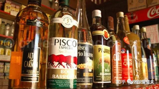 一篇搞懂皮斯科酒