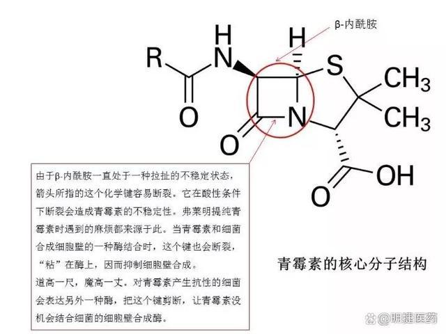 药物史话：青霉素 - 知乎