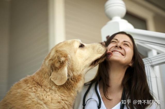 有些主人会因为狗狗突如其来