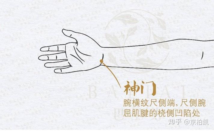 【神门穴】治“心”之要穴 - 知乎