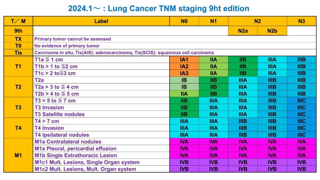 肺癌分期tnm第9版图片