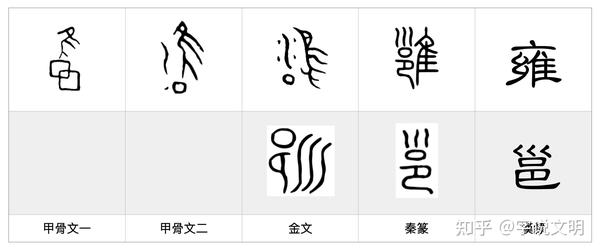 雍——每日一字·隹部字 知乎