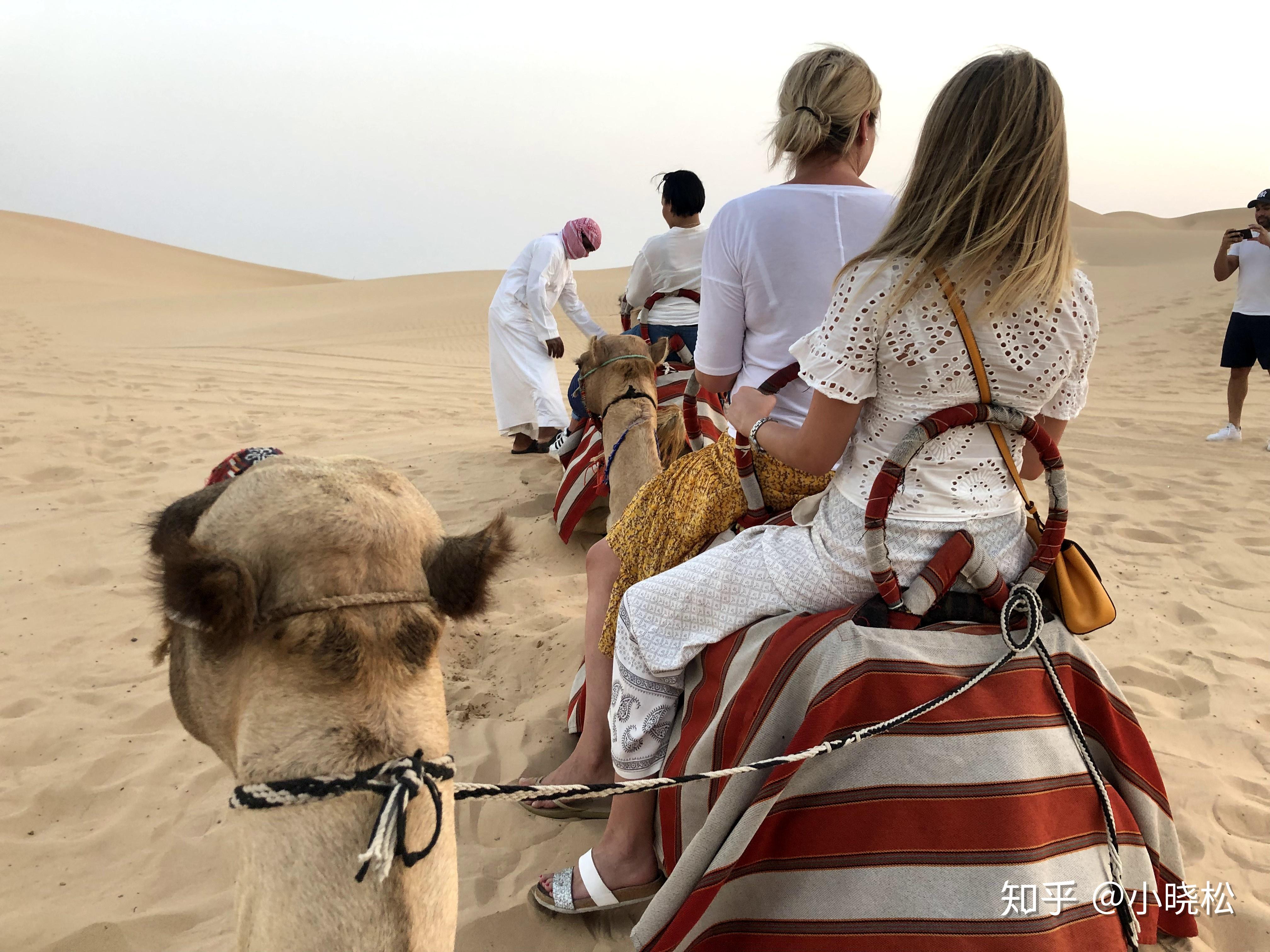 阿布扎比 | 零现金度过20小时的无敌攻略