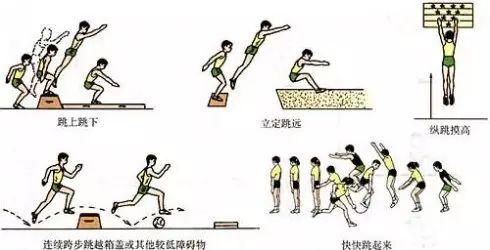 体育课教学动作小人图制作电子教案必备