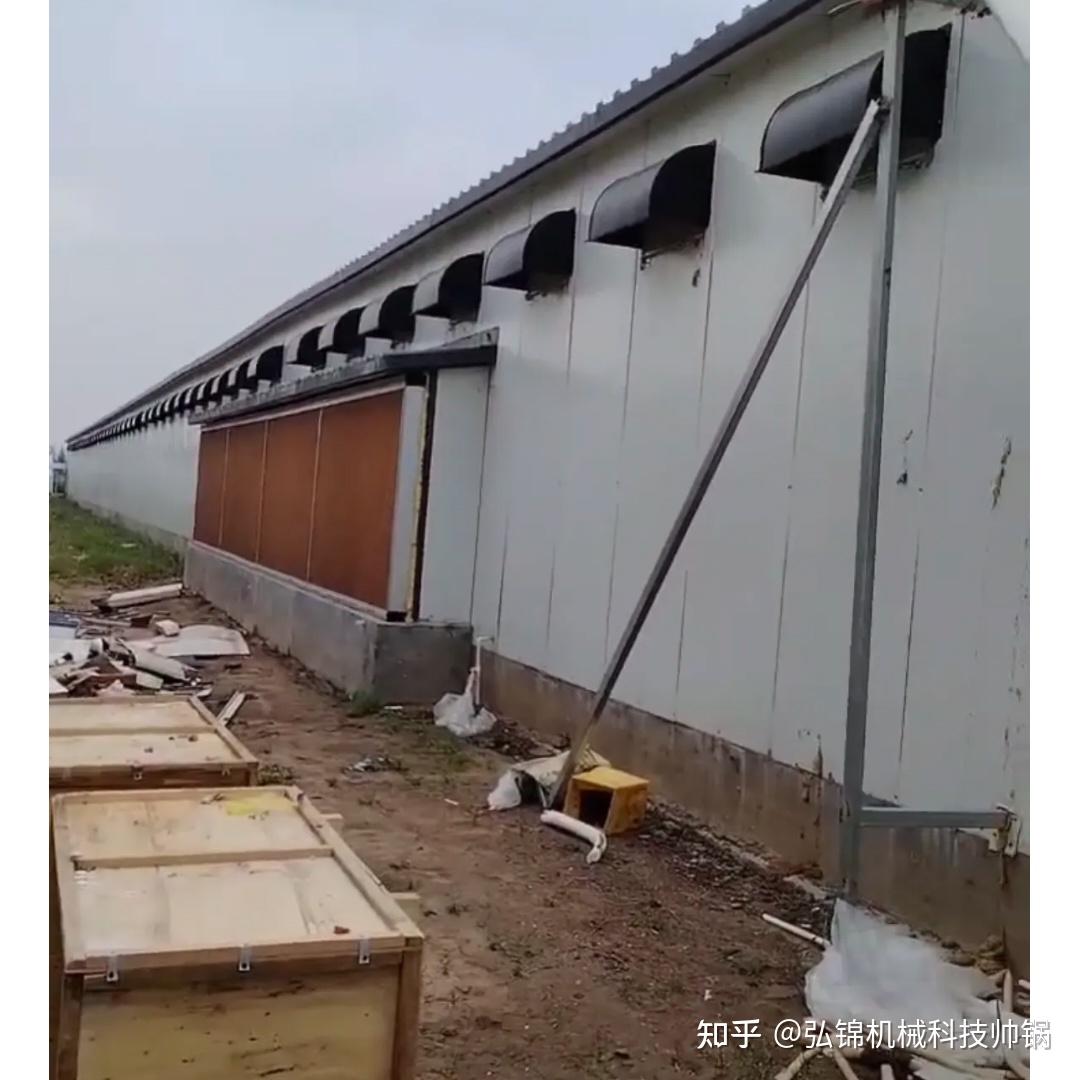 现代化大型自动化蛋鸡养殖场是什么水准?单栋鸡舍存栏10万只是什么体验? - 知乎