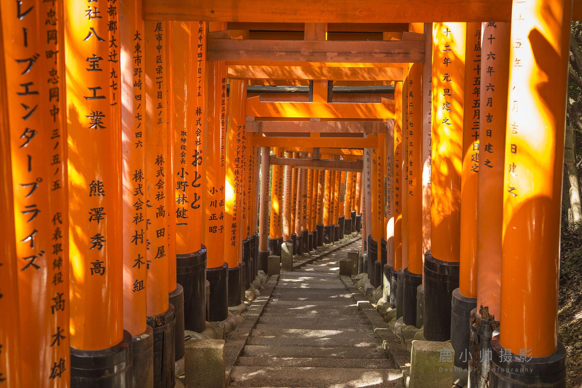 2021伏见稻荷神社-旅游攻略-门票-地址-问答-游记点评，札幌旅游旅游景点推荐-去哪儿攻略