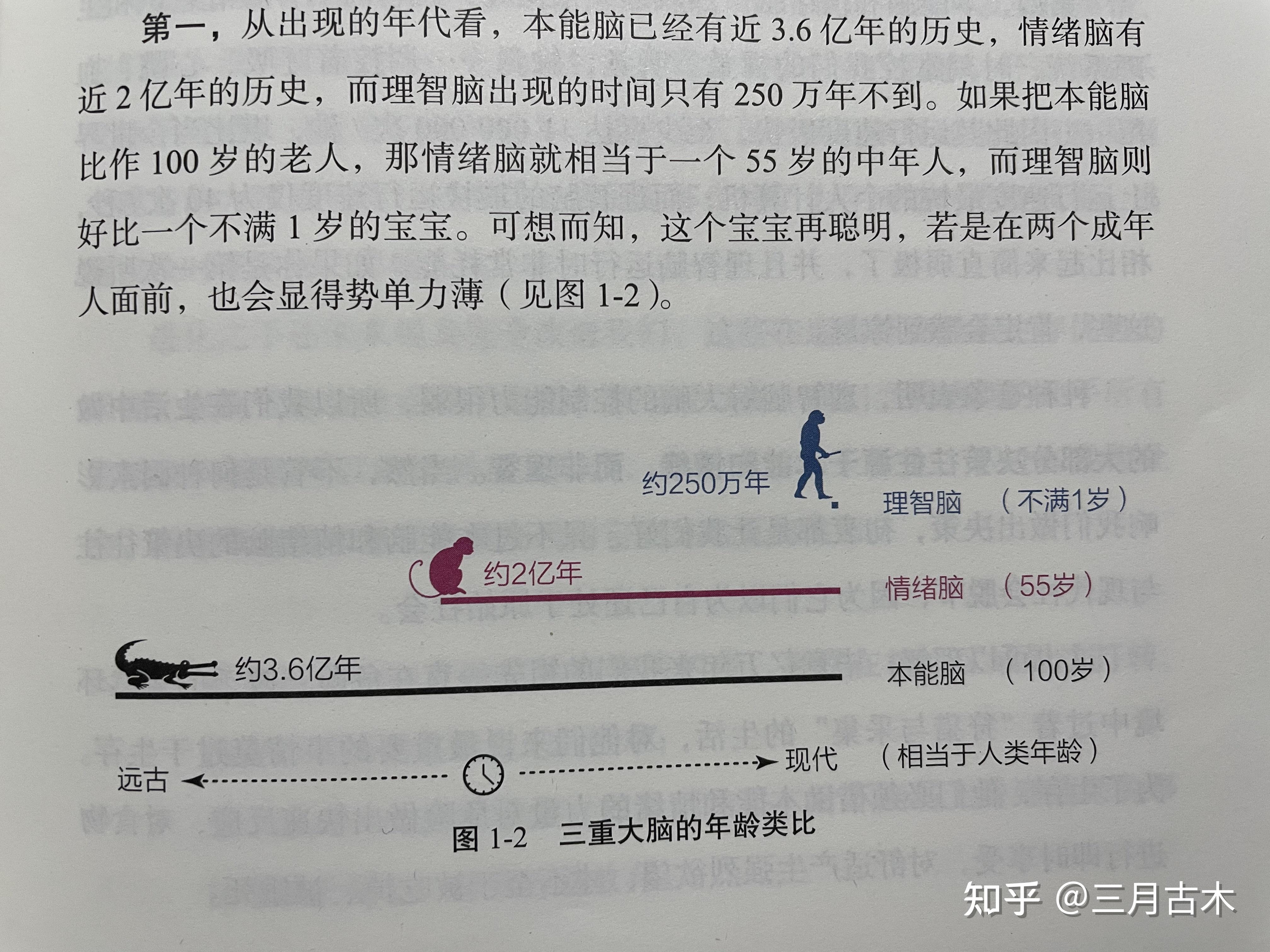 作者阐述了人的大脑分为本能脑,情绪脑和理智脑.