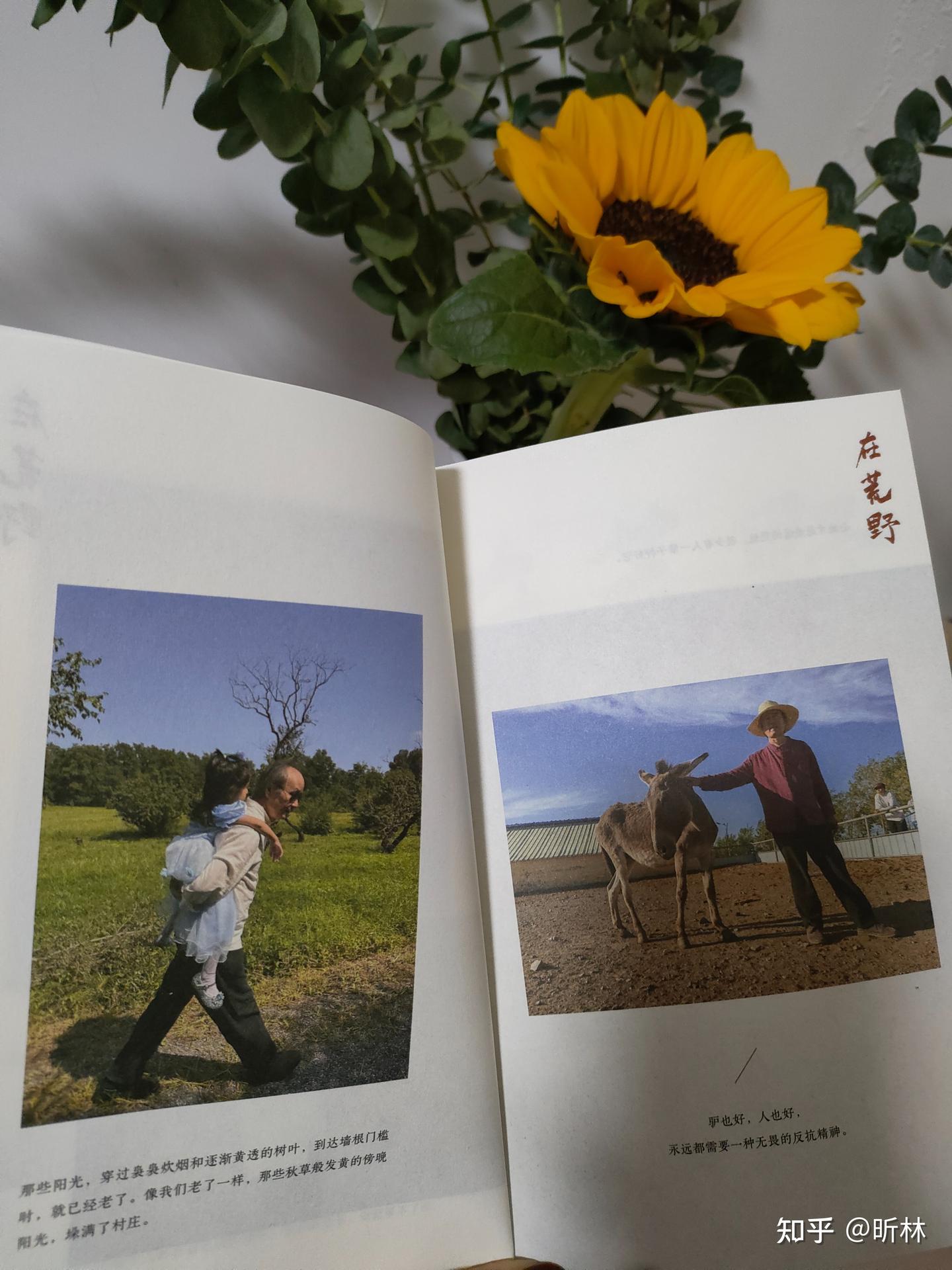 你总能在他如诗般的文字中找到自己 - 知乎