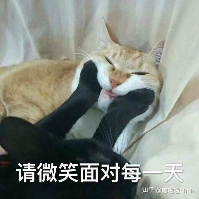v2-64b69d2160aa9a60e6727cdf4938804f_r.jpg