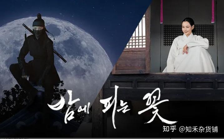 《夜晚开的花》韩国古装剧本土评分8.5 一位有独立思想的寡妇! - 知乎