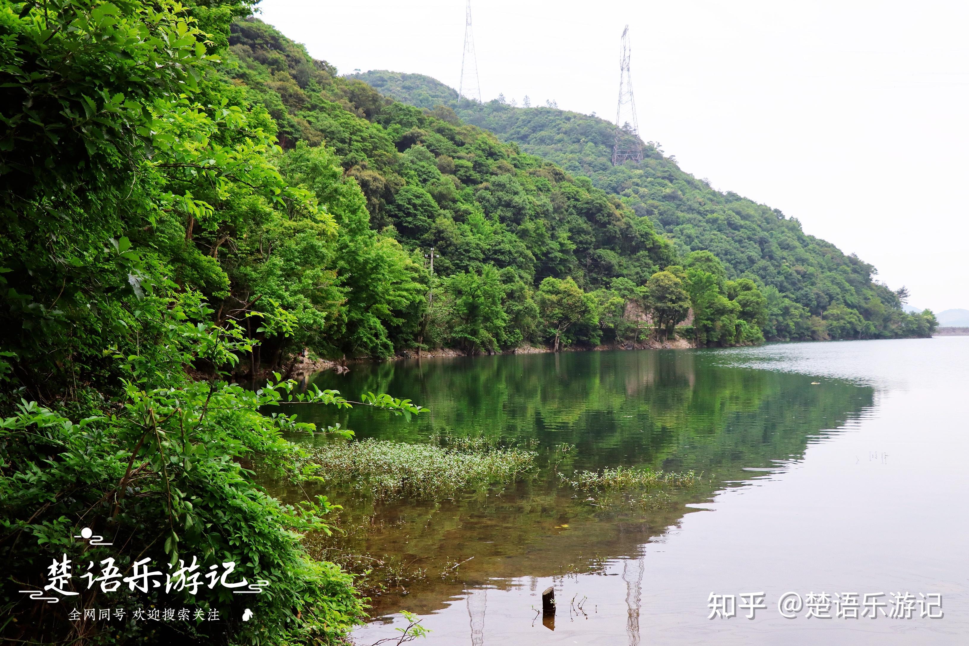 莼湖九峰山水库图片