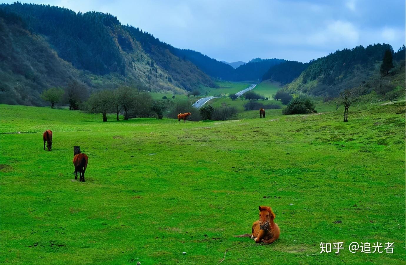 重庆旅行攻略|教你三天玩转魔都重庆!-重庆游玩攻略2日游长江索道