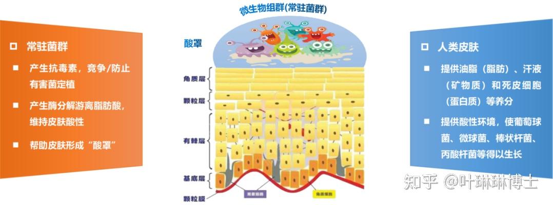 敏感肌那些事儿丨好端端的皮肤咋就敏感了