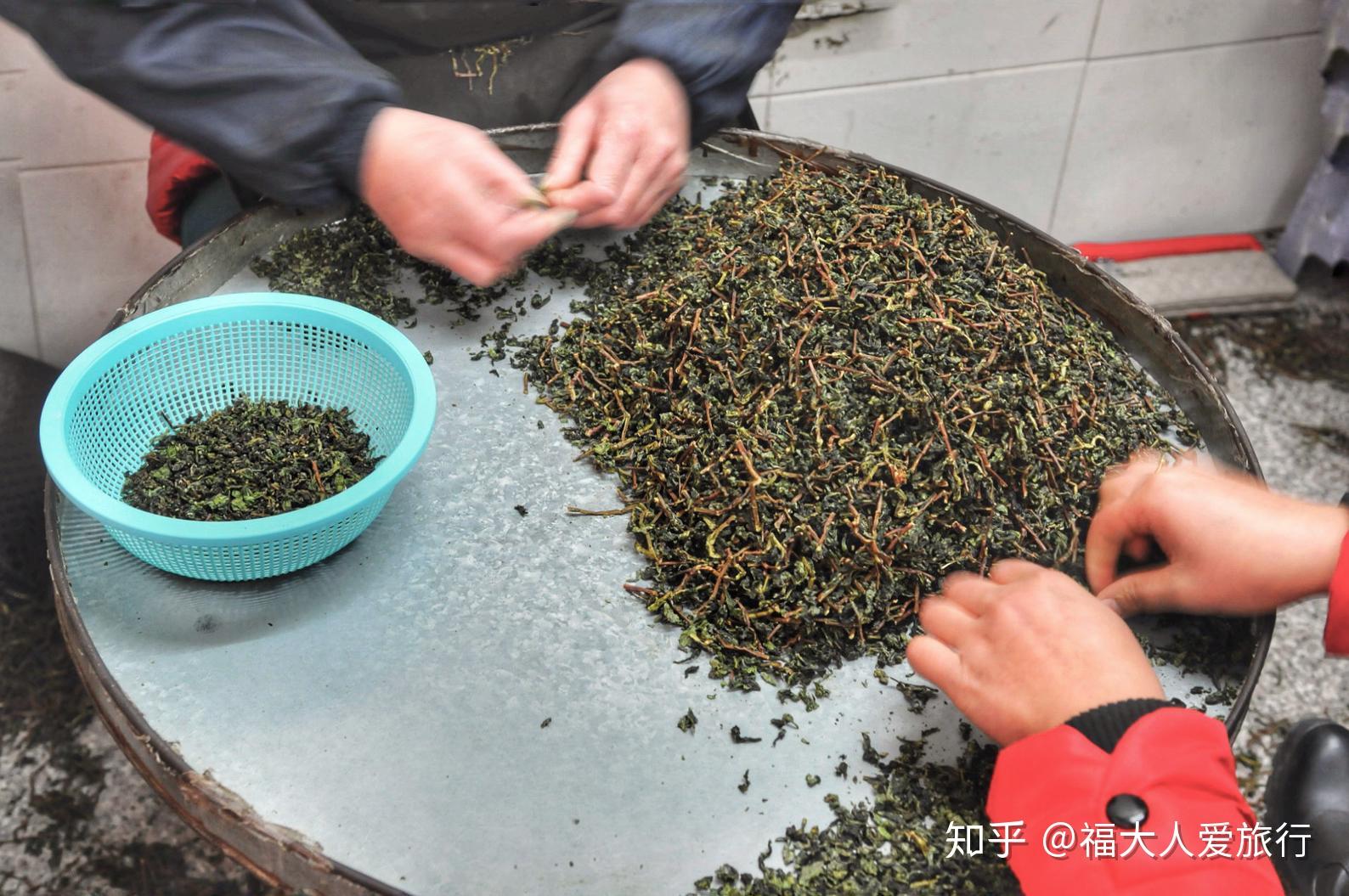 进店喝茶好茶管饱安溪茶店掌柜对游客都这么热情吗