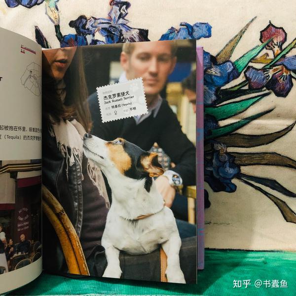 《狗狗巴黎》:谁能抵得住可爱的小狗呢~ - 知乎