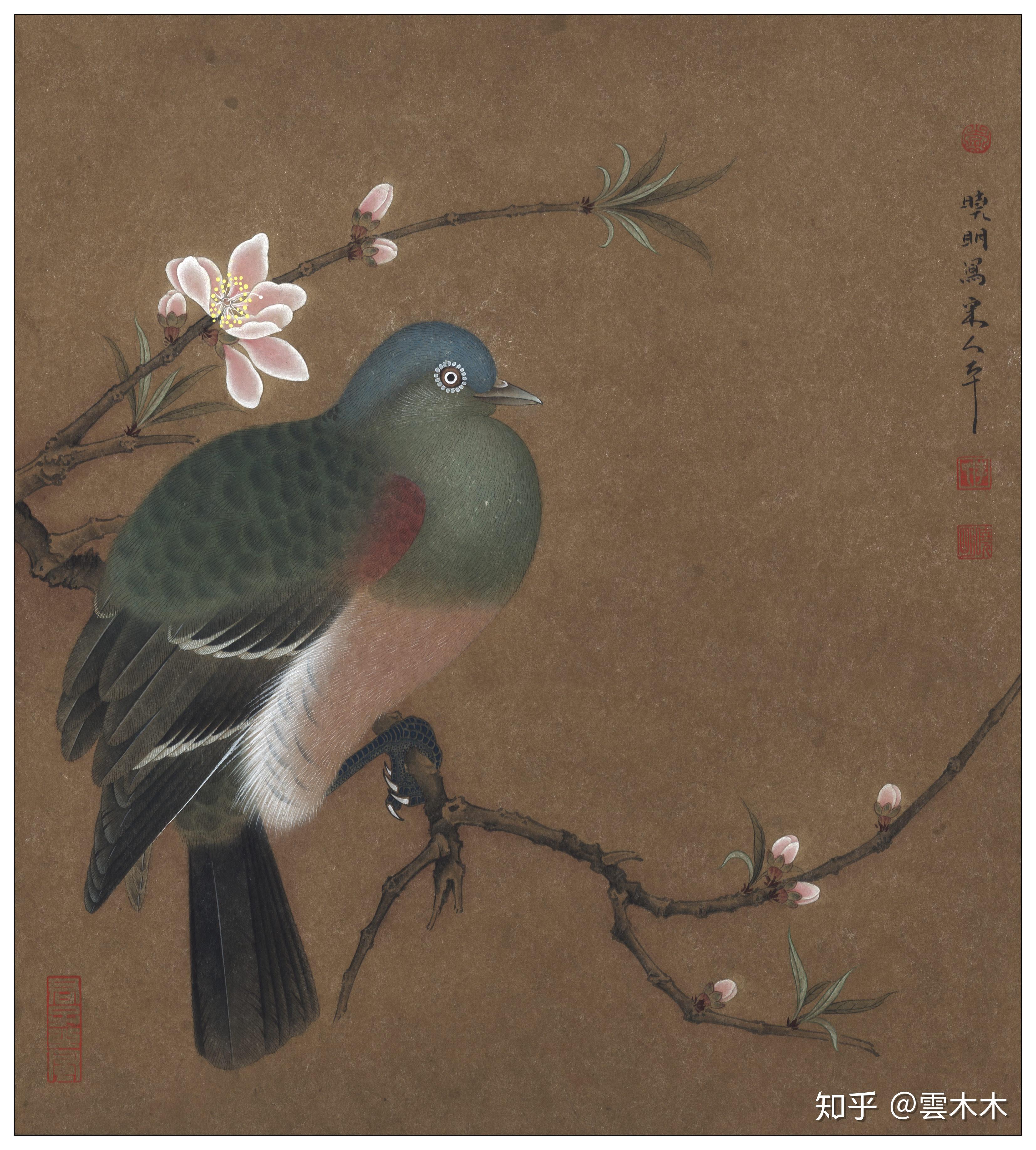 宋小品《临宋桃鸠图 》国画工笔,绘画步骤图 - 知乎