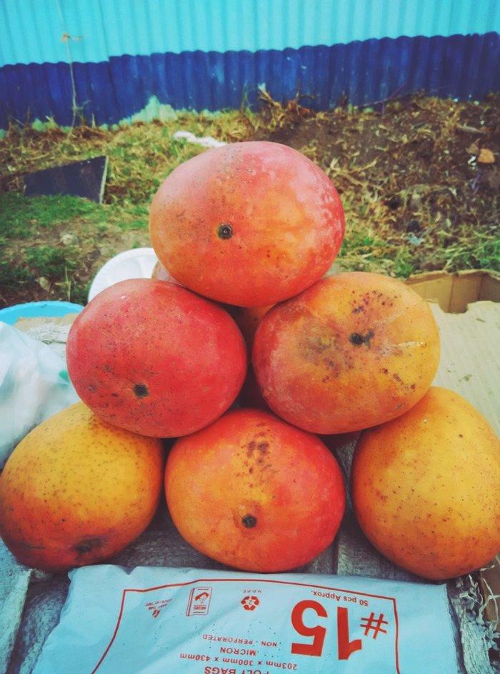 内罗毕与索贿警察的正面交锋