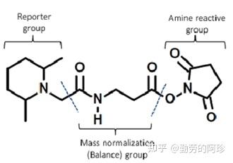 Tmt技术应用于蛋白质组学定量的基本原理 知乎