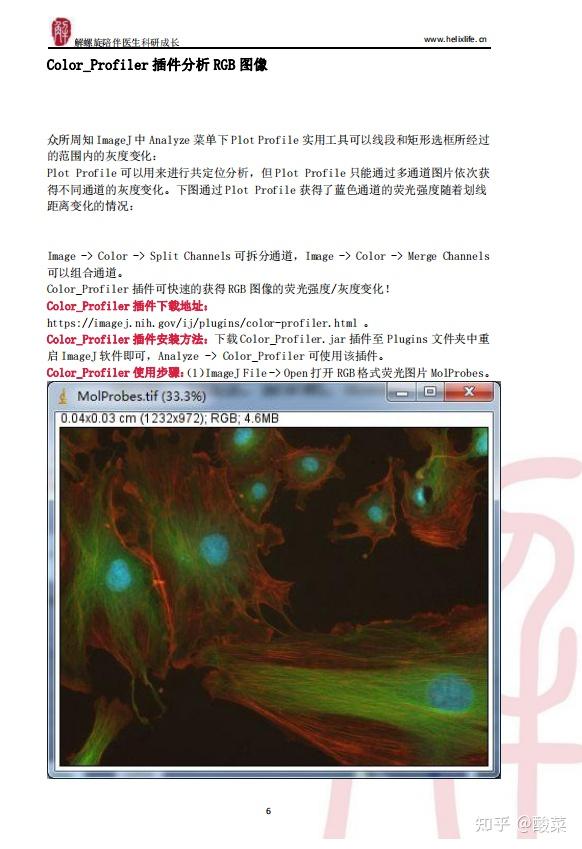 ImageJ如何做出高颜值SCI配图？看完直接冲上5分+！（附实用插件） - 知乎