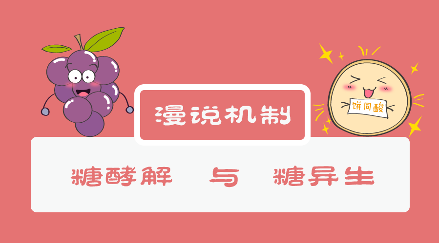 糖酵解糖异生的脑洞故事来啦丨听个故事记个机制