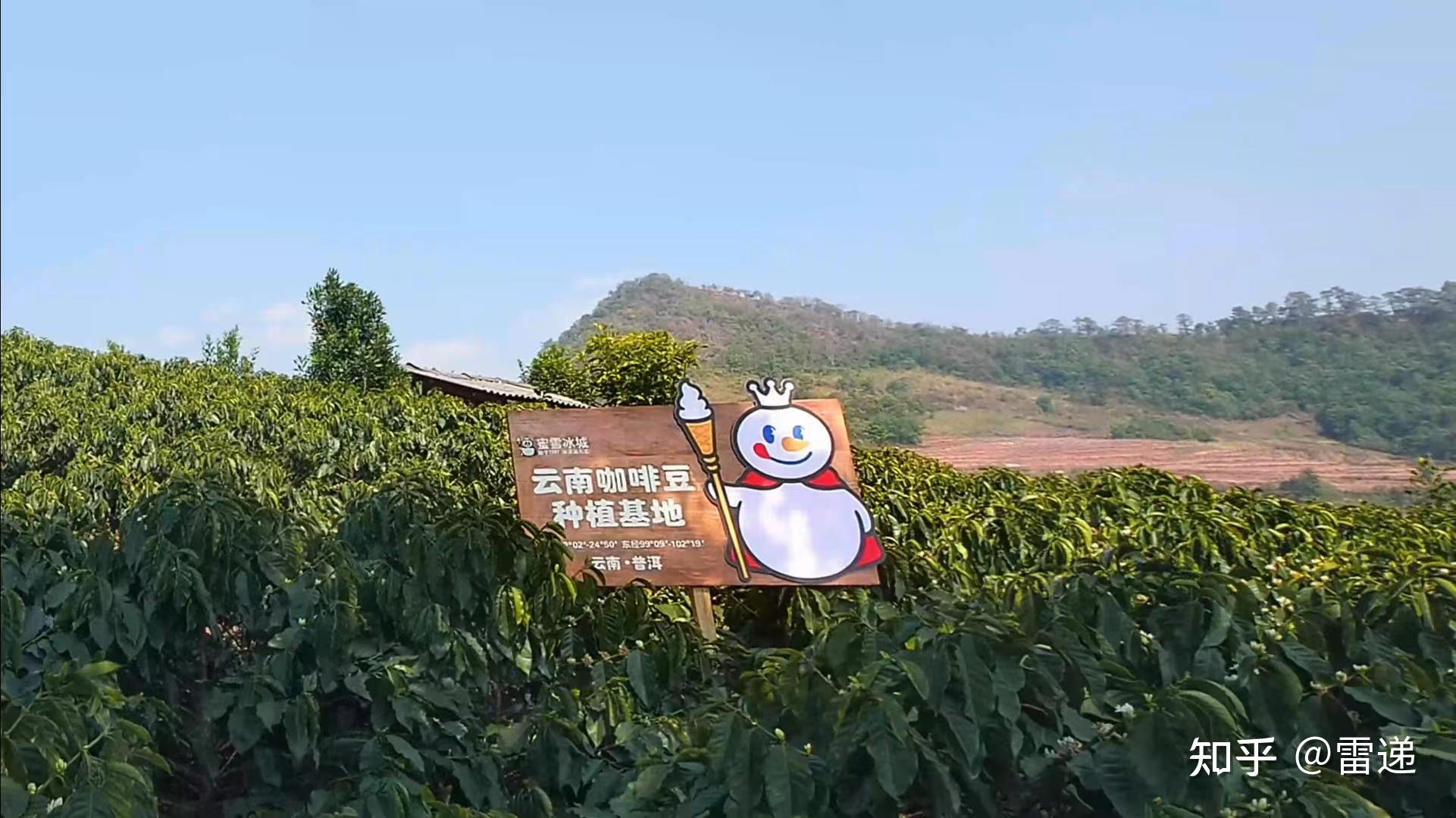 蜂场 – 杭州常青蜂业有限公司