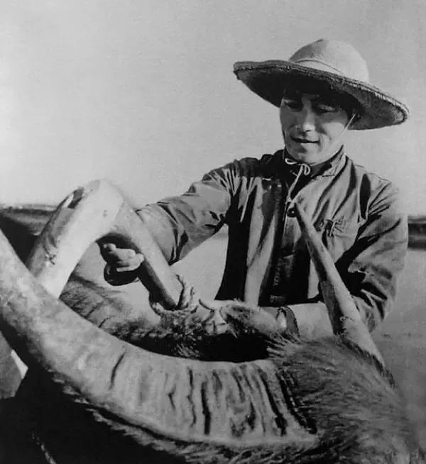 50年代老照片36行人物的典型时代形象