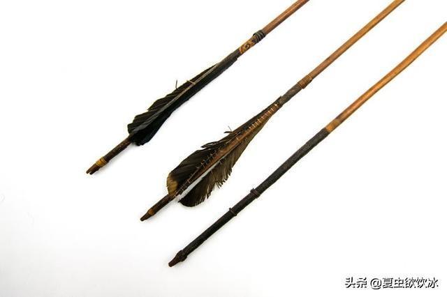 非洲两万年多年来都没改动过的猎弓,外形很粗糙,但“杀伤力”还可以 - 知乎