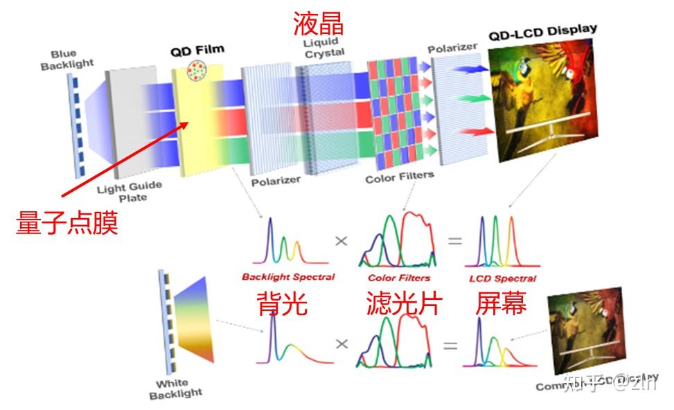 量子点指尺寸在2~10 nm范围的半导体纳米晶材料.