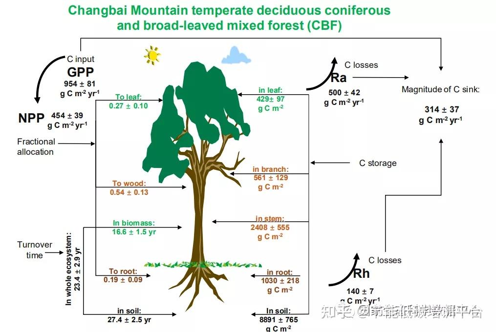 森林碳汇项目开发流程及前景展望 | PPT - 知乎
