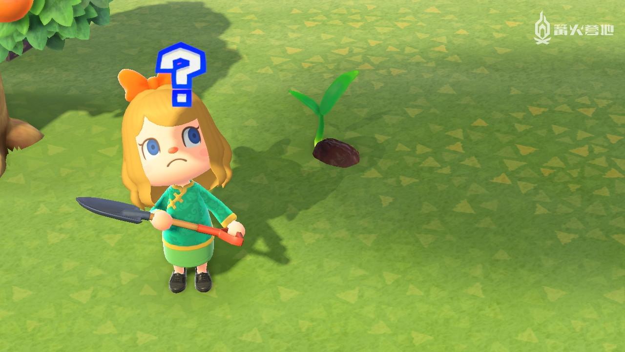 在集合啦动物森友会中不要轻易尝试的15件事情