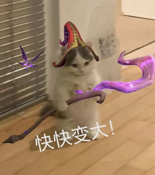 lol猫猫表情包图片