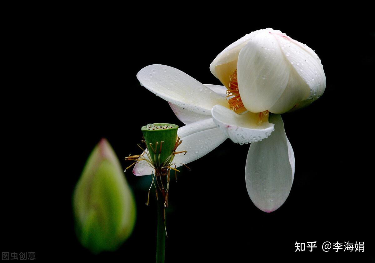 芳華流年浮生如夢誰傾一生安暖撫我半世滄桑