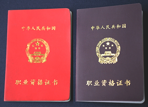 公共营养师高级营养师注册营养师rdaciisf国际注册营养