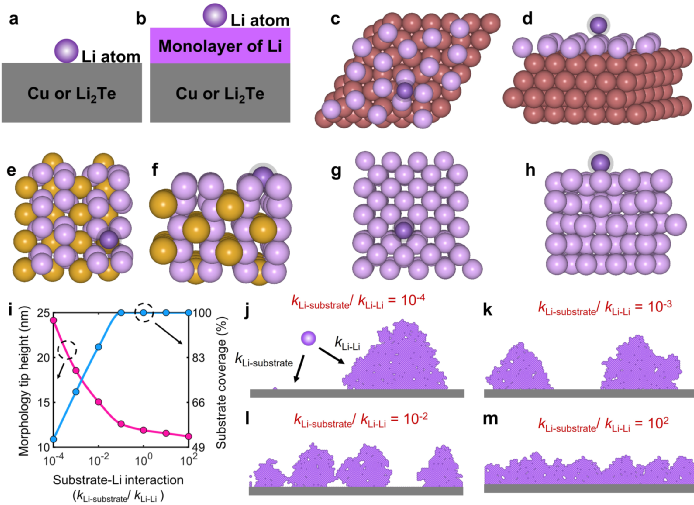 德克萨斯大学奥斯汀分校AM： 铜集流体表面改性实现无负极全固态锂金属电池 - 知乎