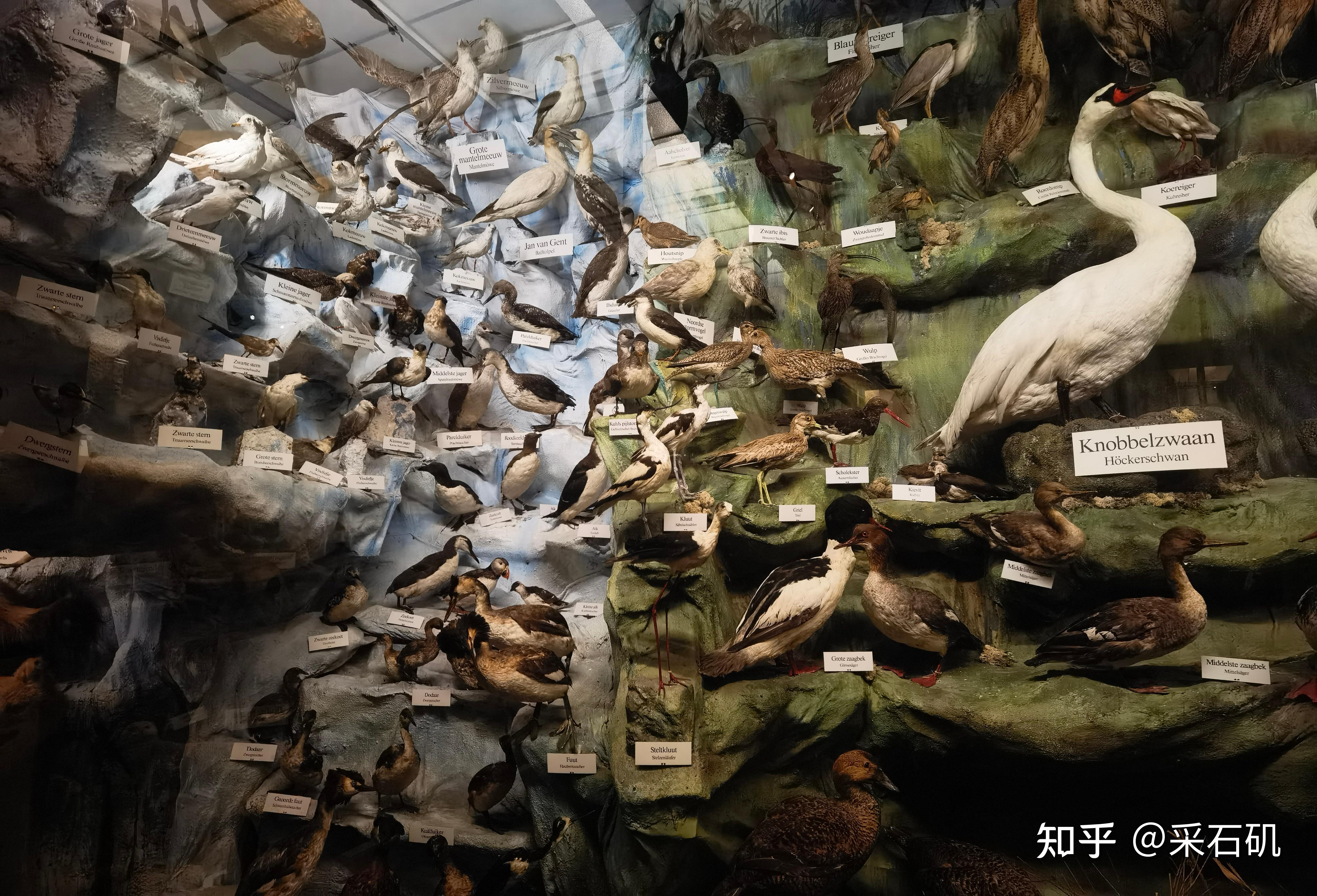 该博物馆主要展示与天主教传教士相关的展品,包括家庭用品,传教士照片