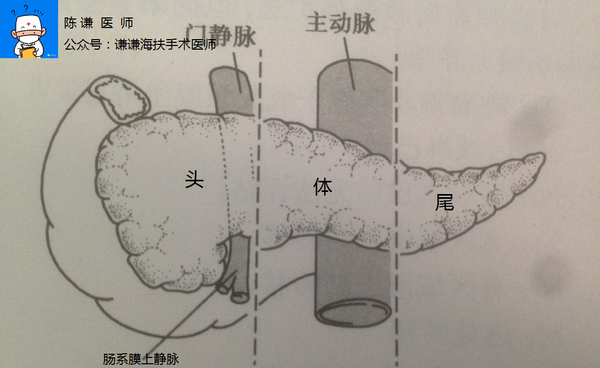 胰腺癌科普之胰腺癌分类 - 知乎