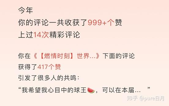 网易云年度报告