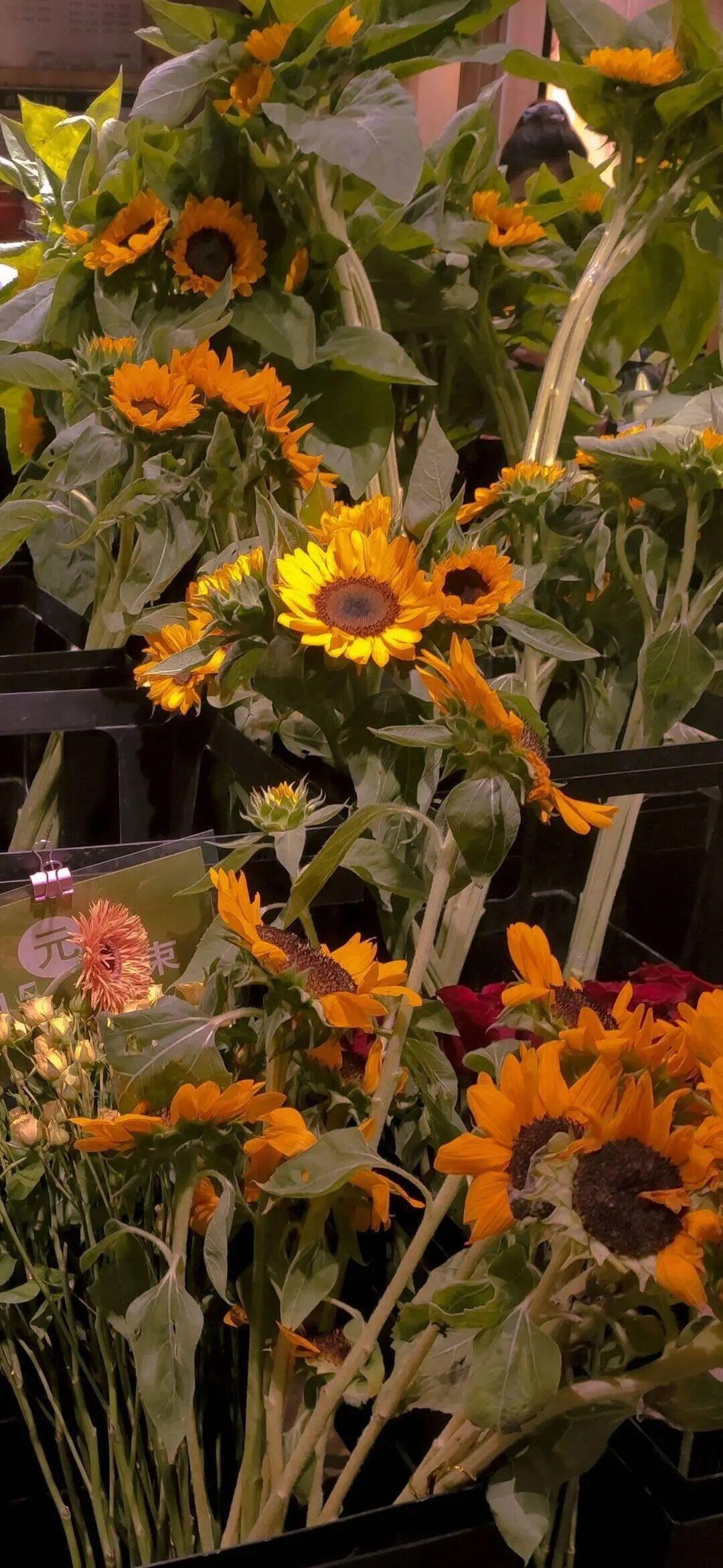 高清微信背景,微信聊天背景图壁纸100张