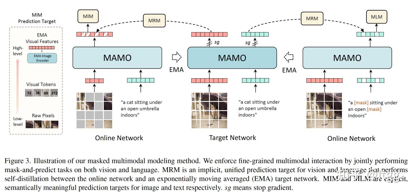 多模态如何做联合Mask？MAMO结合显式与隐式预测目标进行多模态Masked Modeling 知乎