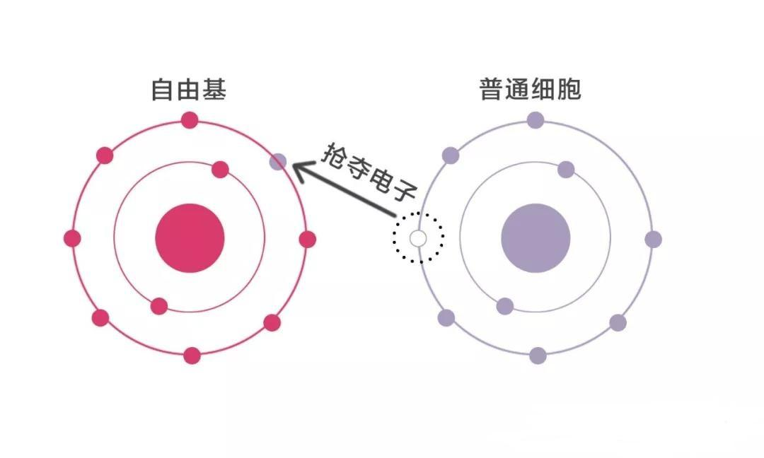 当然啦,抗氧化并不是对抗体内的氧气,而是指抗自由基.抗氧化对于