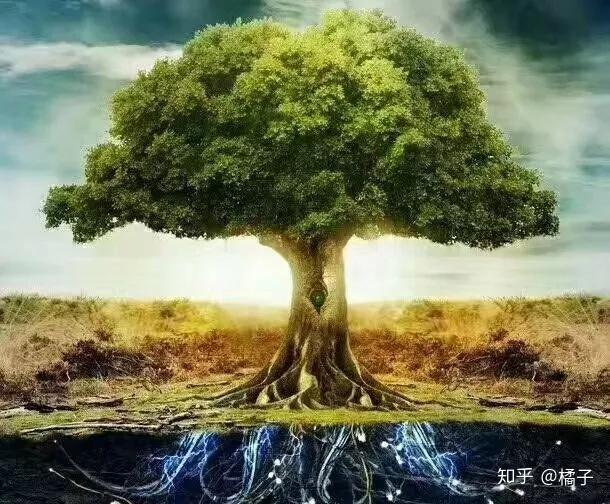 元辰宫能量所暗含的秘密就是你财富改变的原因